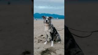 This interaction took a 180° 😅