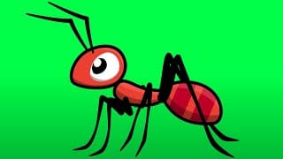 la fourmi m'a piqué la main