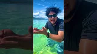 Sabías que el océano es una sopa? #shorts #humor