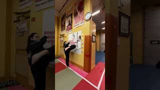 Count the kicks‼️ #karate #martialarts #shorts