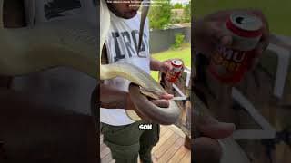 C'est un poison pour les serpents