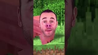 When Minecraft players act cool…