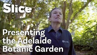 Behind the Scenes of Adelaide's Botanic Garden | SLICE