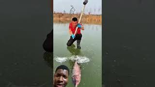 Satisfying Cute baby cat Zombies viral Smart Appliances New Gadgets, Tool Items #shorts #gadgets