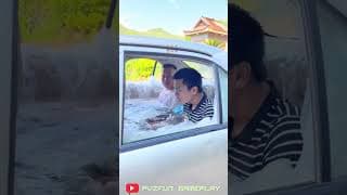 Would ride in a TAXI like this? What a bath tub 😂 - PLANTS VS ZOMBIES ANIMATION MEME #shorts #meme