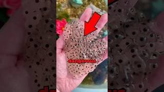 Do NOT Touch This