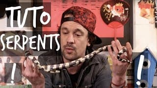 TUTO MON PREMIER SERPENT - TOOPET