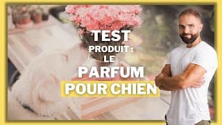 TEST PARFUM POUR CHIEN : Parfumer un chien est-ce efficace ?