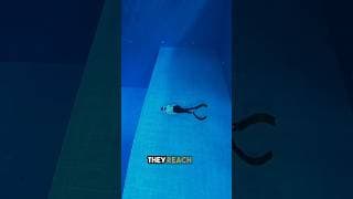 The Courage to Dive Deep 😮