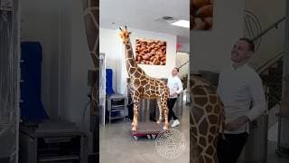 Chocolate Giraffe! 🦒 This 8.3ft tall 100% chocolate sculpture is my biggest creation yet!