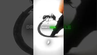 The Truth Behind The VIRAL Trapped Ant... 🤯🧠