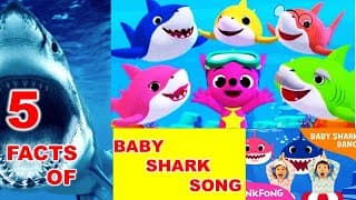 PinkFong Baby Shark Song 5 Amazing Facts - Baby Shark Original - Baby Shark Dance | Joy Land
