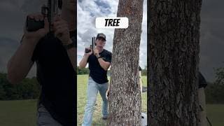 Tree vs 50 Cal Sniper Rifle