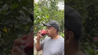 Esto lo tomo casi todos los dias y me siento de maravillas.