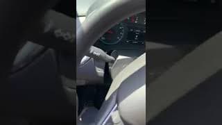 Bison does bison stuff.