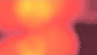 THE ART OF EURO GINO GINA