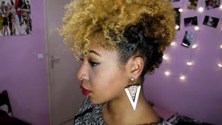 LE FROHAWK | CHEVEUX AFRO COURTS