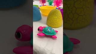 Sea Animal Toy Surprises