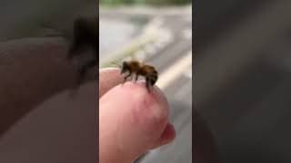 Des choses qu'il faut voir !