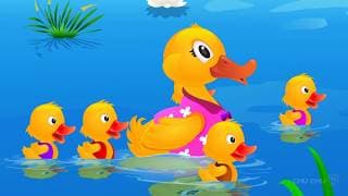 Cinq Canetons (Five Little Ducks) | ChuChu TV Comptines et Chansons pour Enfants
