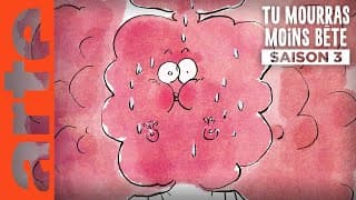 Le désir féminin | Tu mourras moins bête | ARTE