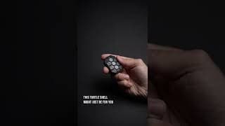 This turtle is faster than you… 🐢