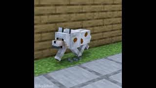 Does The Dog Deserve To Go To Heaven?