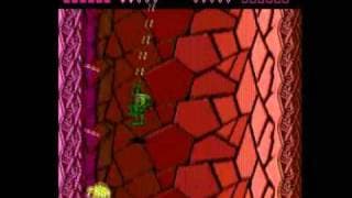 Battletoads, One Life Speedrun