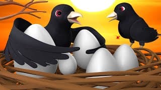 Cuckoo's Big Egg 3D Animated Stories for Kids - English Moral Stories | Bedtime Stories for Kids