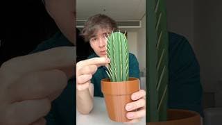 unusual plants! 🌱 #shorts #funny #satisfying #diy