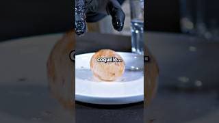 Une balle rebondissante avec un OEUF dans du COCA ? #science #scientifique