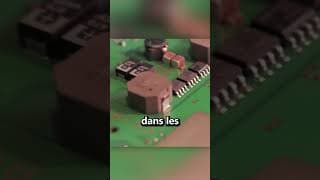 À quoi Ressemble le Monde au Microscope ?