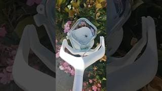 Capturer les araignées sans les toucher