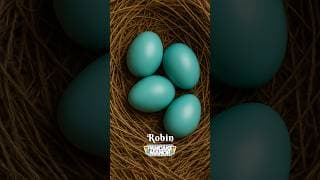 Count to ten with EGGS!🪺 #preschool #kidssongs #kidsvideo #counting