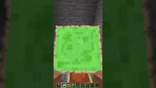 Minecraft Fake Slime Trap! (Anxiety)💀