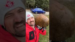 A rock is perfect for checking if the pond is frozen