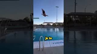 Ce mec a fait un plongeon très étrange