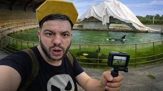 MARINELAND À L’ABANDON ? ( ce qu’on a vu...)