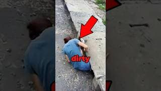 Animal Rescued From Sewer