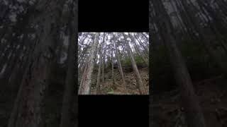 “it’s just a rock in japan” 🤨