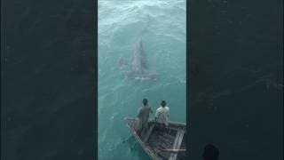 SCARY Hammerhead Shark Close Encounter Off The Coast Of India