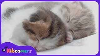 Beethoven | Fur Elise | Lullabies for Babies | Lullaby Music for Babies | The Kiboomers