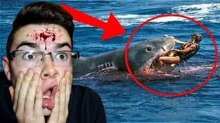 LES PIRES ATTAQUES DE REQUINS !! (Capturé en GoPro, Vidéo réaction, compilation)
