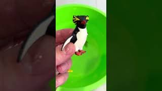 Learn Bird Names for Kids!  #KidsLearning