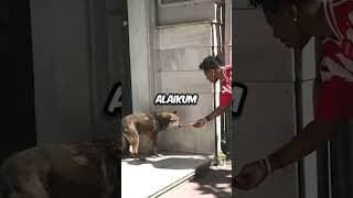 iShowSpeed Helps Homeless Dog 😥
