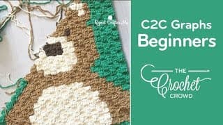How to Crochet Corner to Corner (C2C) Graphghans for Beginners