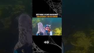 bebê phoque demande l'aide à cet homme #documentaire #bienêtre #nature#phoque#humanity