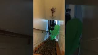 SHE WAS SO CONFUSED 🤣 #shorts