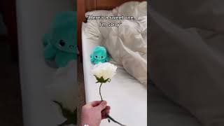 I forgave him 😂 @RegalNoise #funny #comedy #cute #humor #love #shorts #joke #prank #cute #love