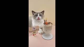 Puff Latte (From The Meow Chef, AKA That Little Puff)